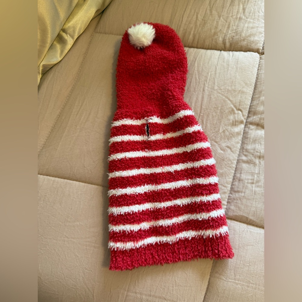 Friends Forever XSmall Red Striped Dog Sweater